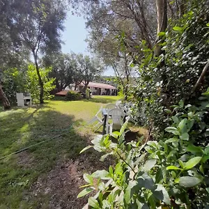 https://lulivo-siniscola.in-sardinia.net